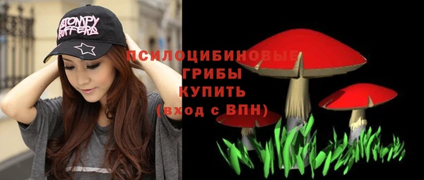 гидра Белоозёрский