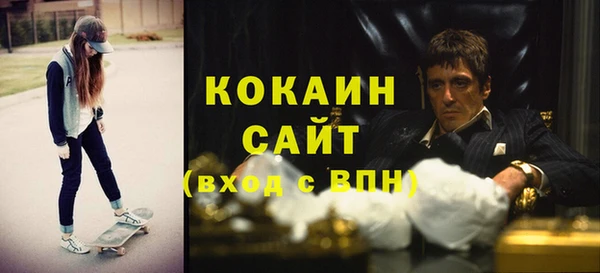 гидра Белоозёрский