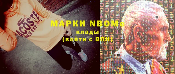 индика Белокуриха