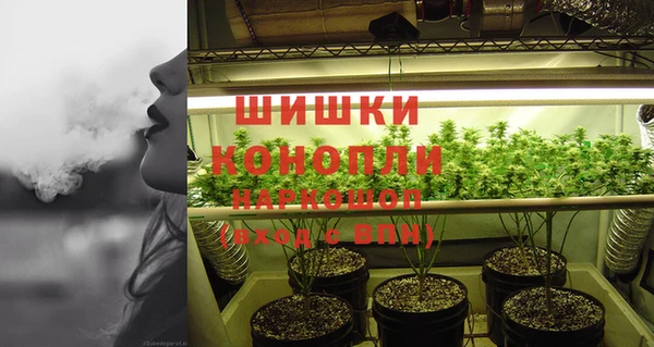 индика Белокуриха