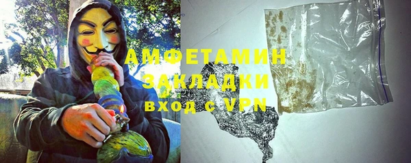индика Белокуриха